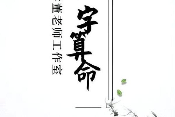 劫财男命格与女命婚姻：揭秘命理中的爱情密码