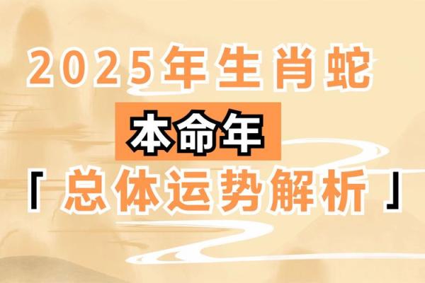 93年属什么生肖与命运解析，带你了解1993年生人的人生特色