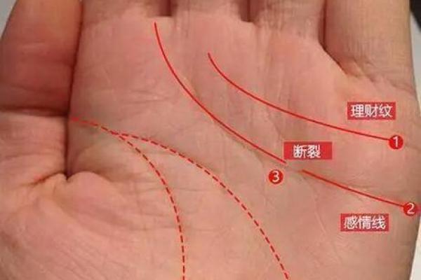 大拇指粗大的人命运解析：你的性格与人生走向！