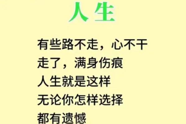 揭示男人女相命理中的最佳命运，助你洞悉人生方向