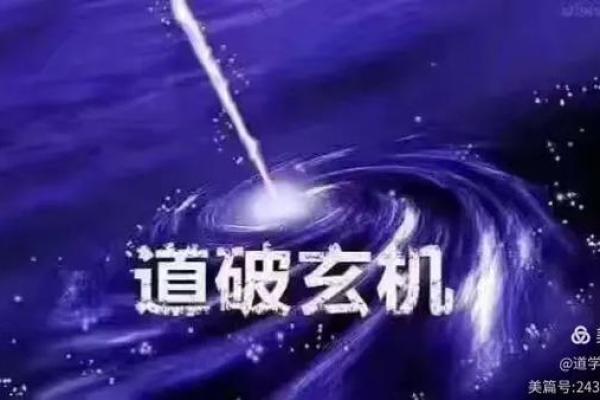 揭示男人女相命理中的最佳命运，助你洞悉人生方向