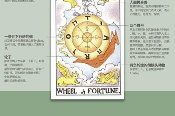 根据命带手表，发现你的命运之轮转动的秘密！