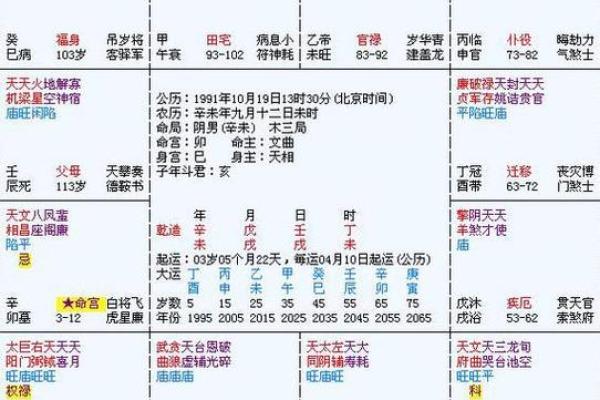 深入探讨木命的命理数字及其对人生的影响与启示