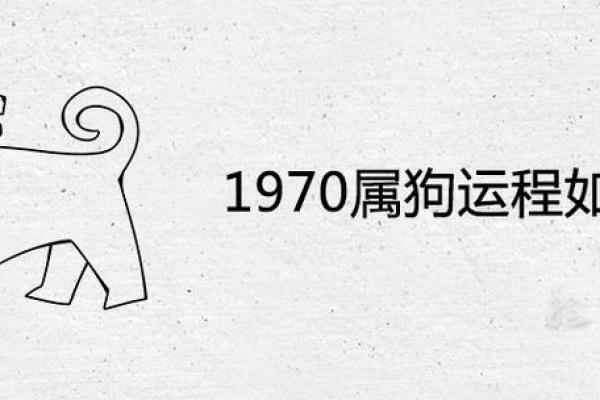 属狗28岁命运解析：成功的关键与挑战的应对