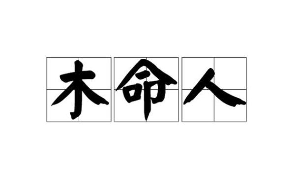适合木命男人的佳缘：寻找最契合的另一半