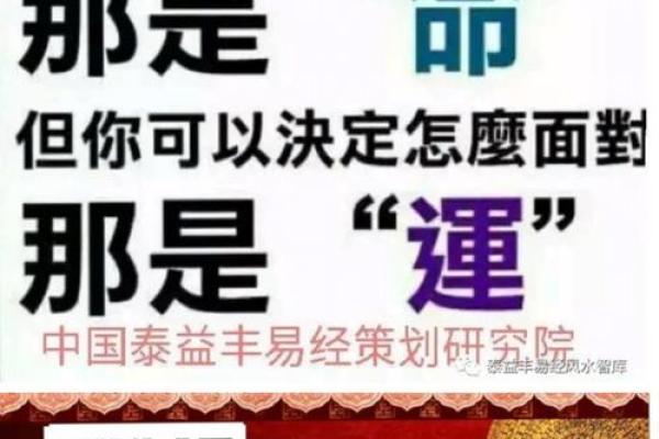 揭开命运之谜：探讨算命中的多种命局与人生轨迹