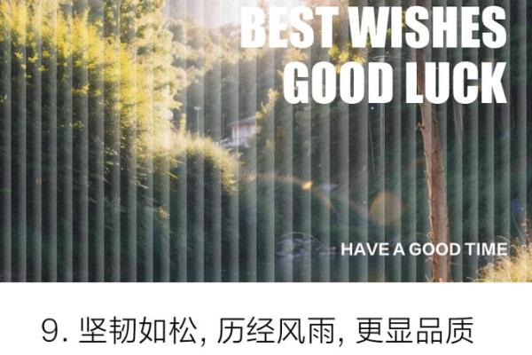 松柏命：人生中的坚持与不屈的象征