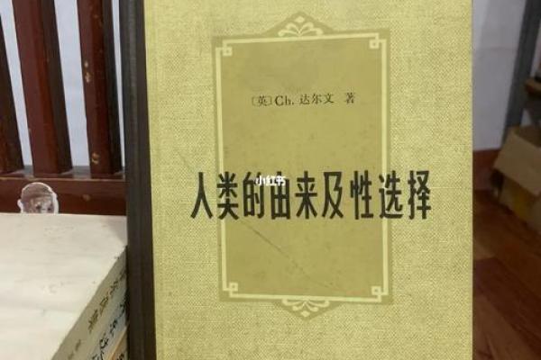 解读女人离婚的背后：命运与选择的交织