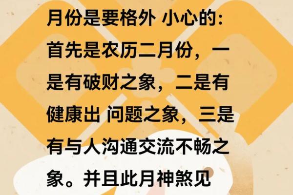 2023年属鼠人的命运分析与生活指导