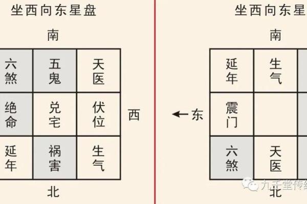 命格与命卦：神秘的命理学两个维度探索