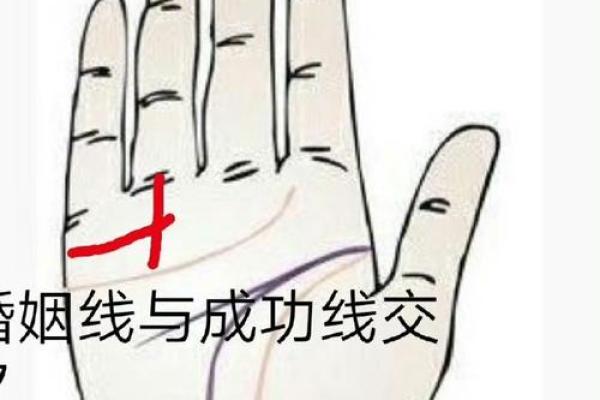 如何通过面相和手相看出你属于什么命？