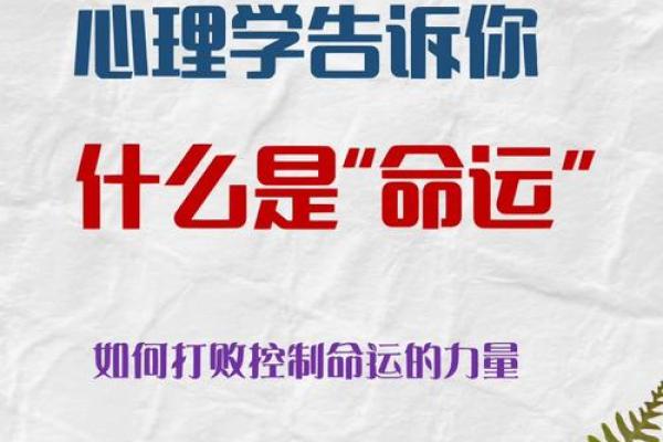 命理学的魅力：探索宇宙与个体命运的神秘关联