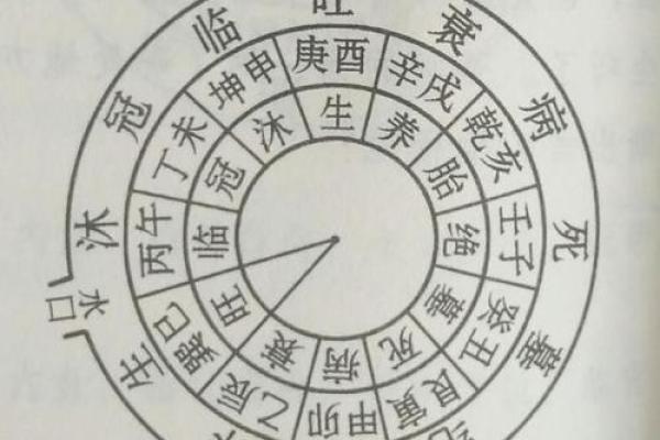 水命分析：不同水种如何影响个人命运与性格