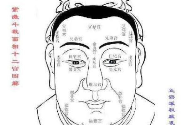 揭秘女人眉毛破相对命运的影响与调和方法