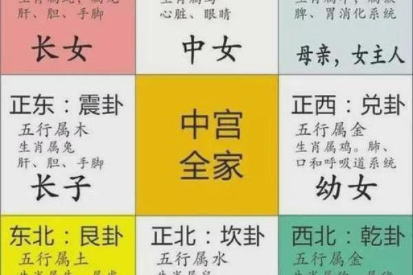水命的最佳年份：依五行寻找人生的黄金时机