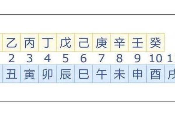 命格之谜：为何男命与女命各异？深度解析让你理解命理的奥妙！