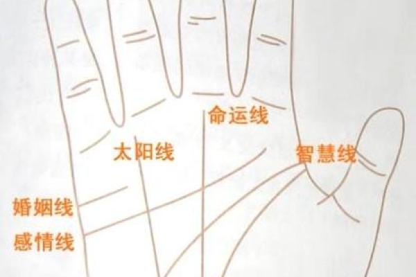根据手上几道线解析命运：揭开掌纹秘密的面纱