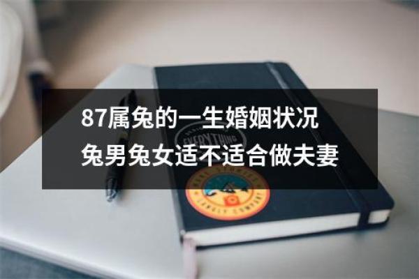 属兔1987年出生的人命忌讳解析及生活指导