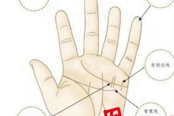 看手相右手命运解密，揭示内心深处的秘密