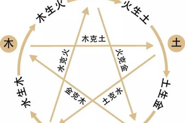 鼠年男宝宝的命运分析：五行八字透视与人生方向探讨