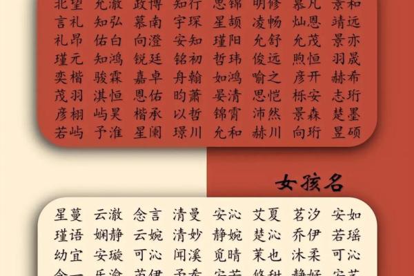 2023兔宝宝的命理解析：揭开兔年宝宝命运的神秘面纱