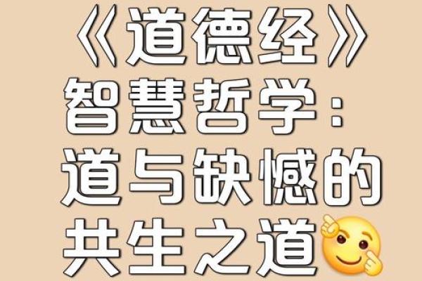 探寻命理学中的阴阳哲学：平衡与和谐的智慧之道