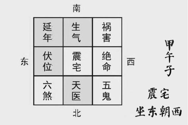 金命人士养鱼的最佳位置与风水布局解析