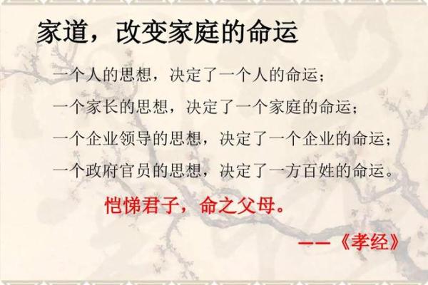 三十多丧夫，命运如何？探讨人生的选择与自我重建