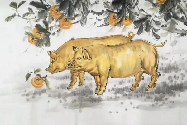 12岁属猪的命运解析：如何引导未来发展与幸福人生