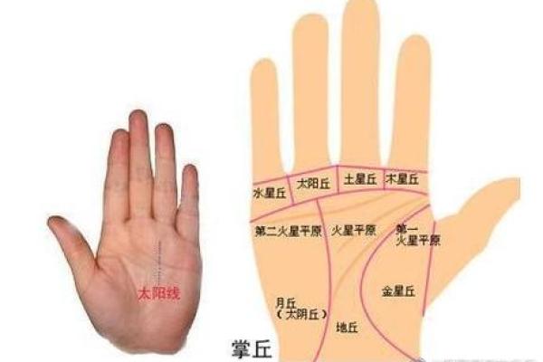 男人手粗大究竟代表什么命运？揭秘手相与人生的秘密！