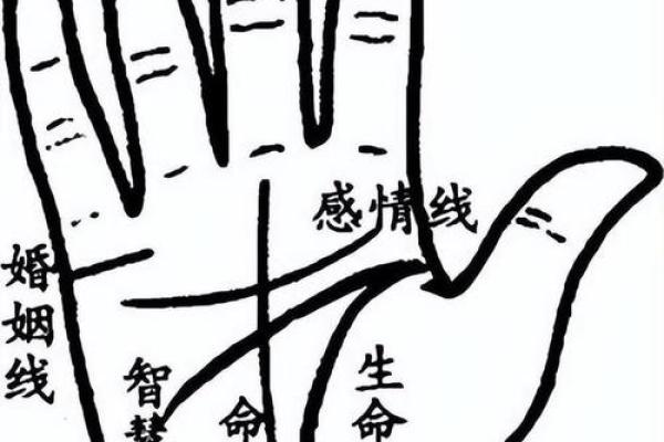 男人手粗大究竟代表什么命运？揭秘手相与人生的秘密！