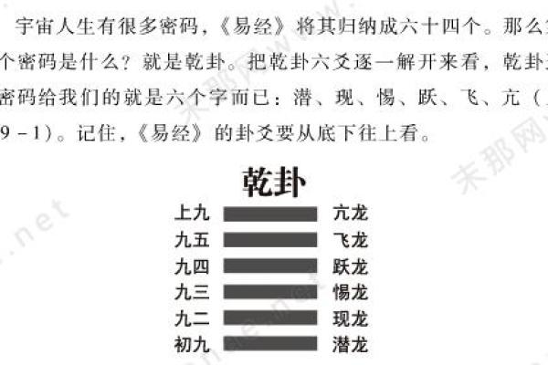 解读一丁和三壬命格，探索命运的奥秘与人生的可能性