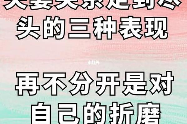 解读离命与离命之间的婚姻关系：爱与自我的平衡之旅