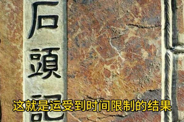 命与运：刘德华的人生哲学与启示