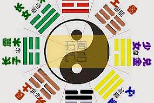 51属鸡的命运解读：从五行看人生之路的辉煌与坎坷