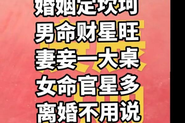 男命旺女命的含义与影响解析