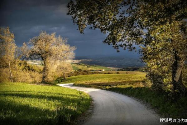 根据木命特性选择最佳生意，助你事业腾飞！