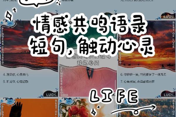 水命人适合的婚姻：寻找心灵共鸣的幸福之路