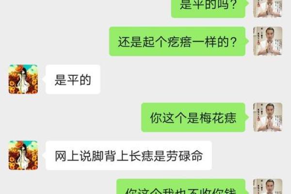 五命伊鹤六命解析：命运与自我修行的智慧之路