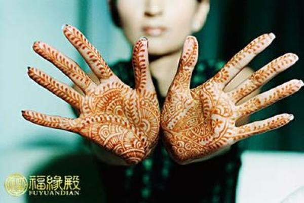 女子在粗脚下的命运：探寻生活的多元可能性