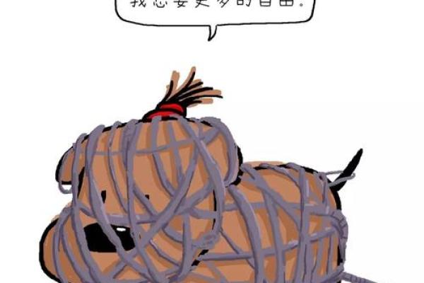 探寻“唯命”之意：从约束到自由的深刻思考