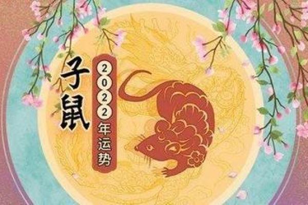 2011兔年宝宝命理解析：如何提升他们的运势与福气