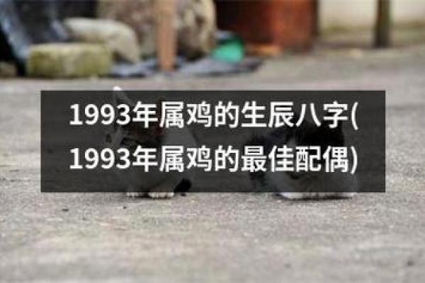 93年4月出生的命运解析：未来的潜力与挑战