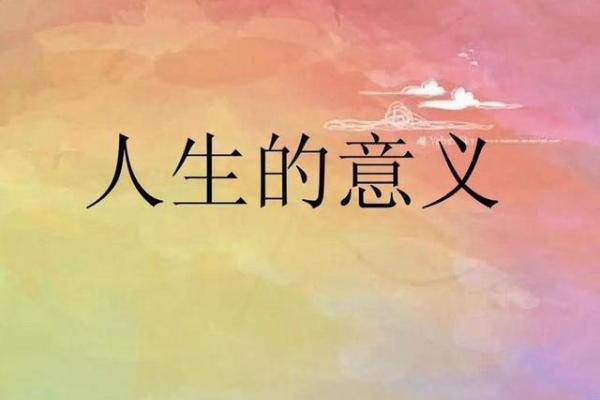 一命与零命：探寻人生的意义与价值观的转变