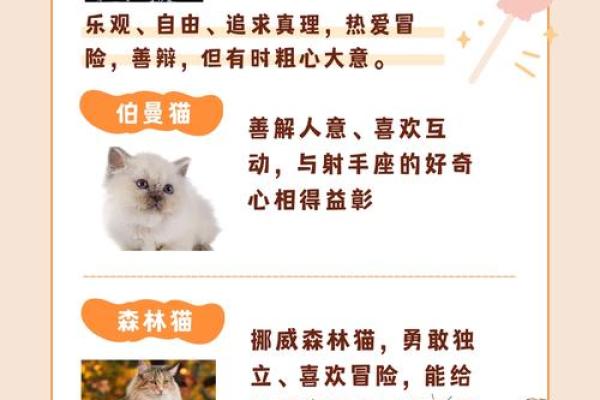 射手座命理分析：探寻射手座的星座缺失与平衡之道