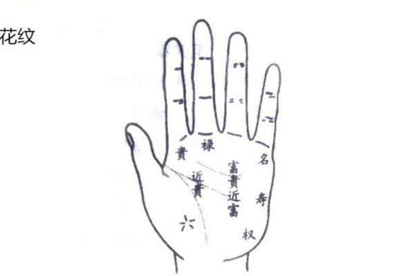 水命属猪的幸运数字与生活运势的秘密探讨