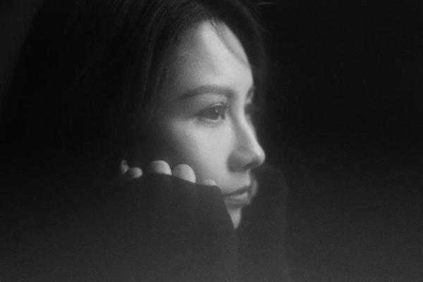 轻柳之命：倾听生命中的柔美与坚韧