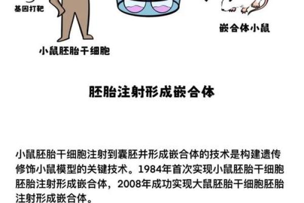 1968年猴子命：探索这一年所诞生的人的命运与个性