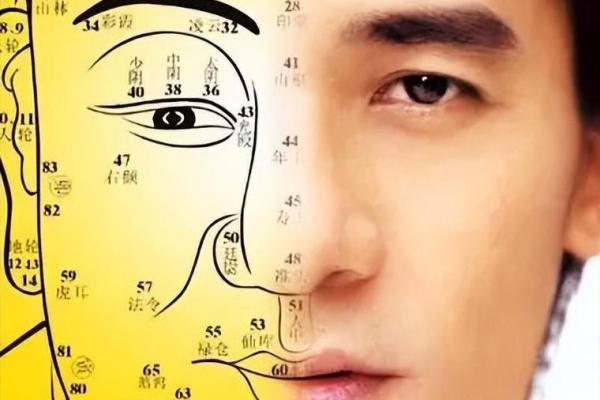 露鼻孔的人是什么命，揭示面相中的秘密与命运解析