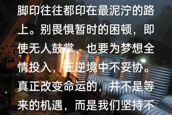 解读“不会挣钱”的命运：从选择到改变的旅程